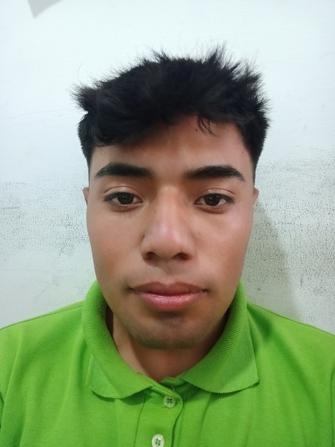 BRANDON ALBERTO ANDRADE CARRILLO. Mentalia