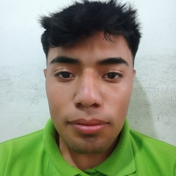 BRANDON ALBERTO ANDRADE CARRILLO. Mentalia